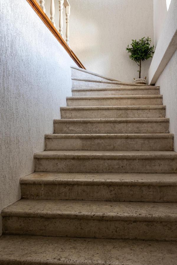 Apartments Minceta Old Town ドゥブロブニク エクステリア 写真